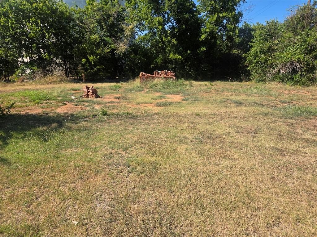 Picture 5