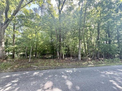 LAND - Moneta, VA
