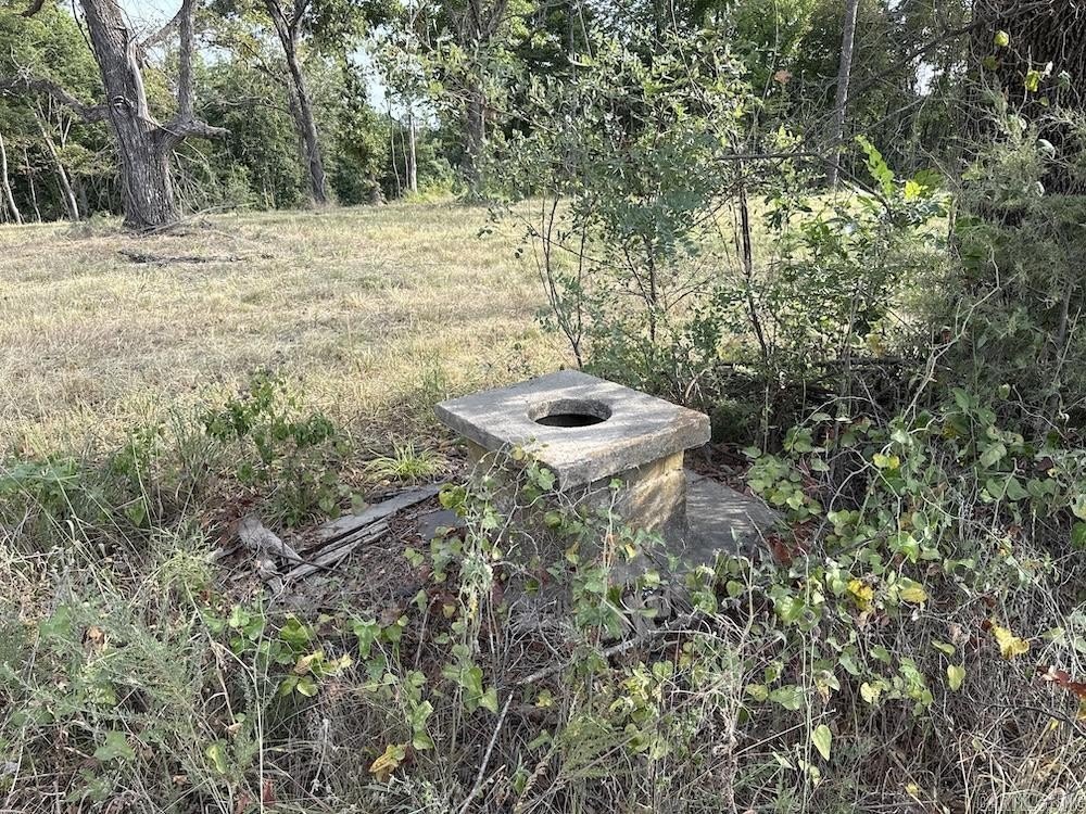 Picture 24