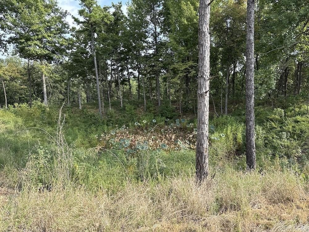 Picture 21