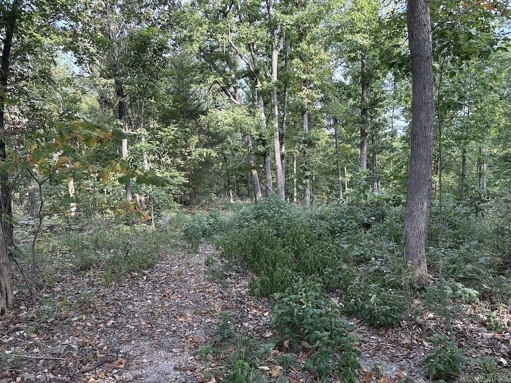 Picture 25