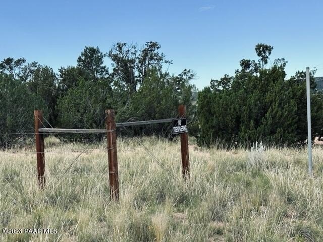 Picture 11