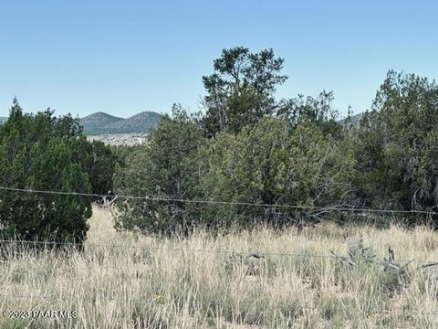 Land, Seligman, AZ