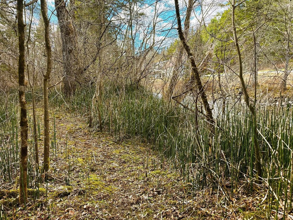 Picture 36