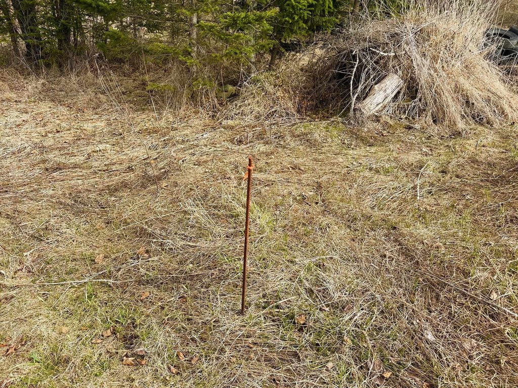 Picture 18