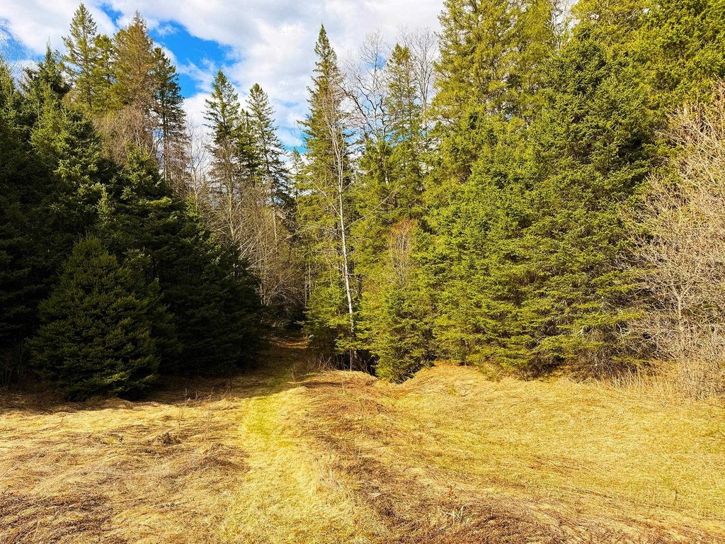 Picture 25