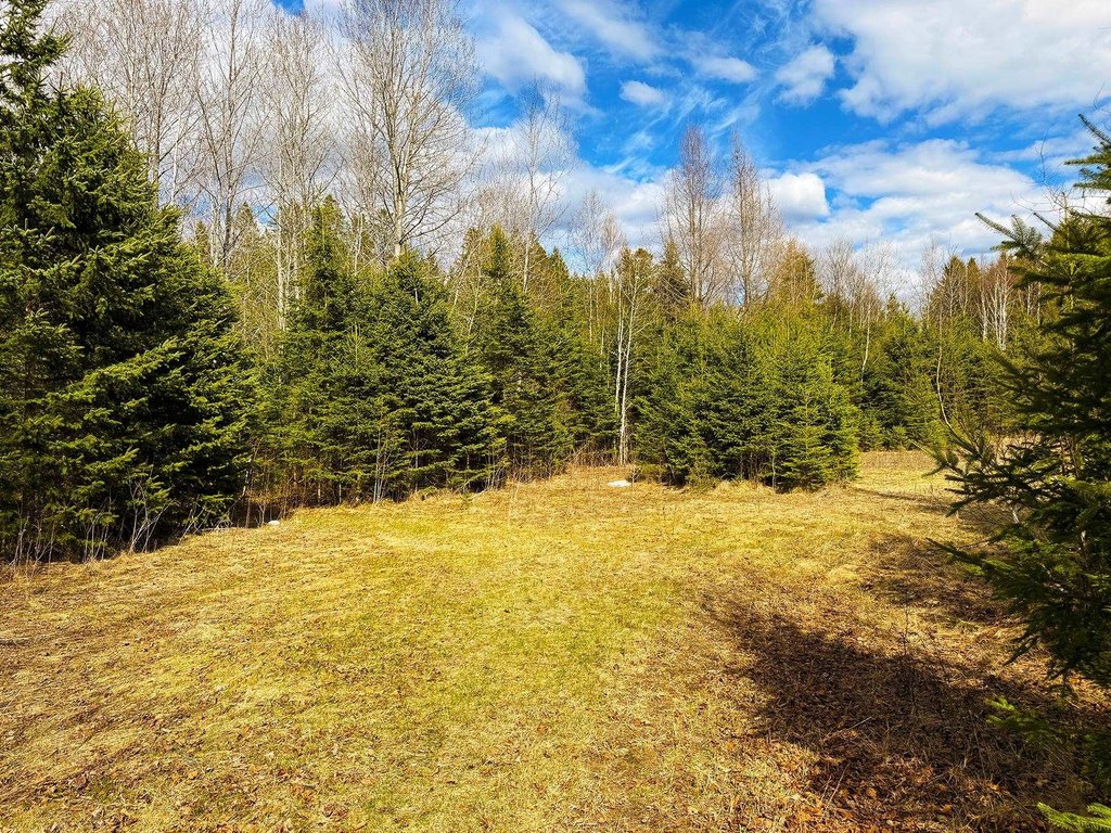 Picture 19