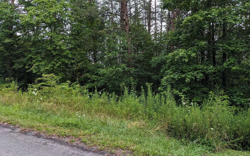 Picture 12