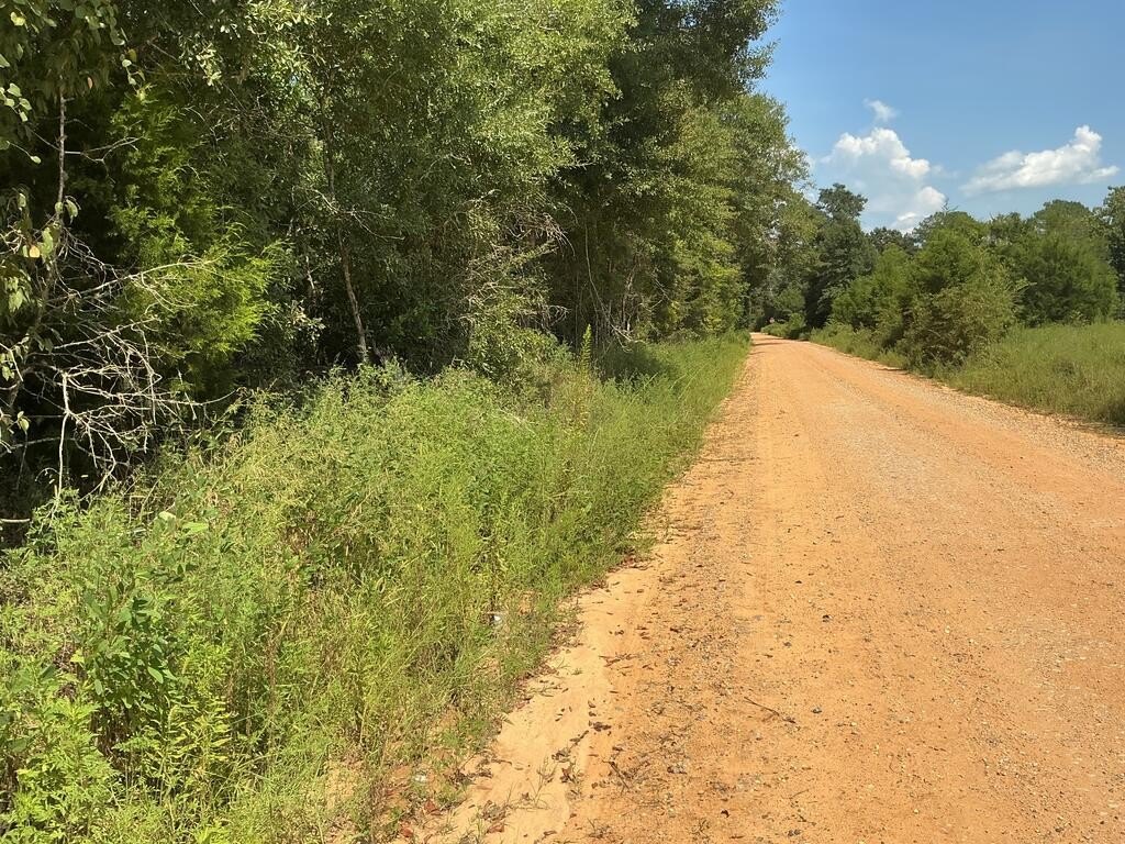 Picture 23