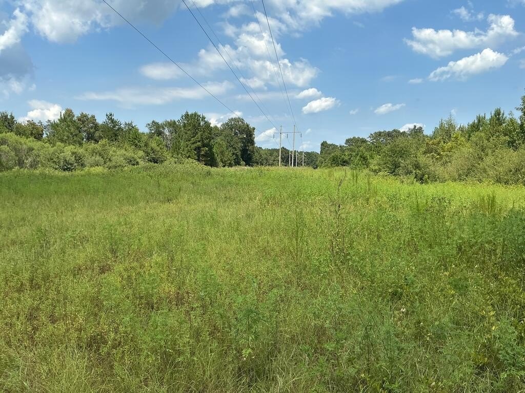 Picture 3