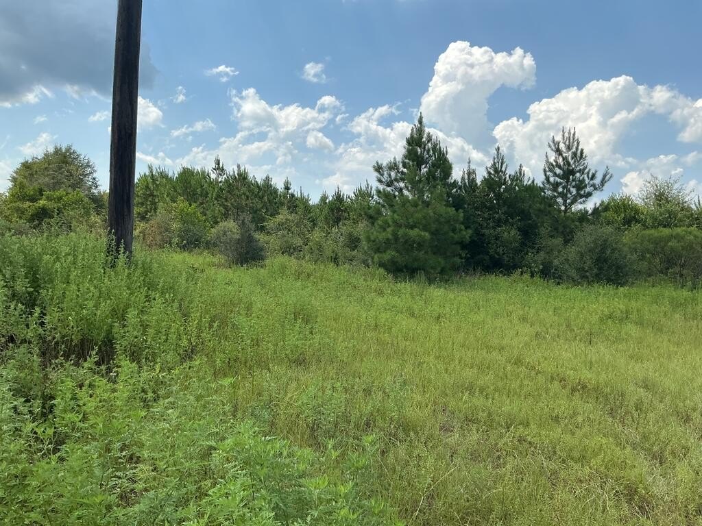 Picture 20