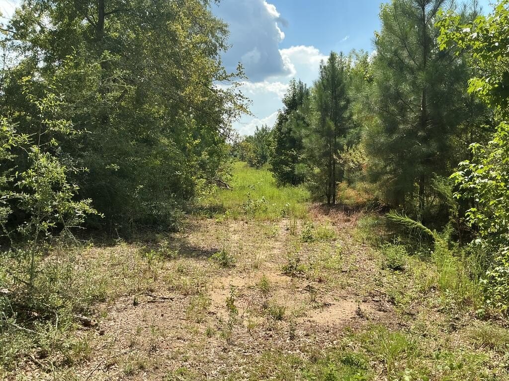 Picture 10