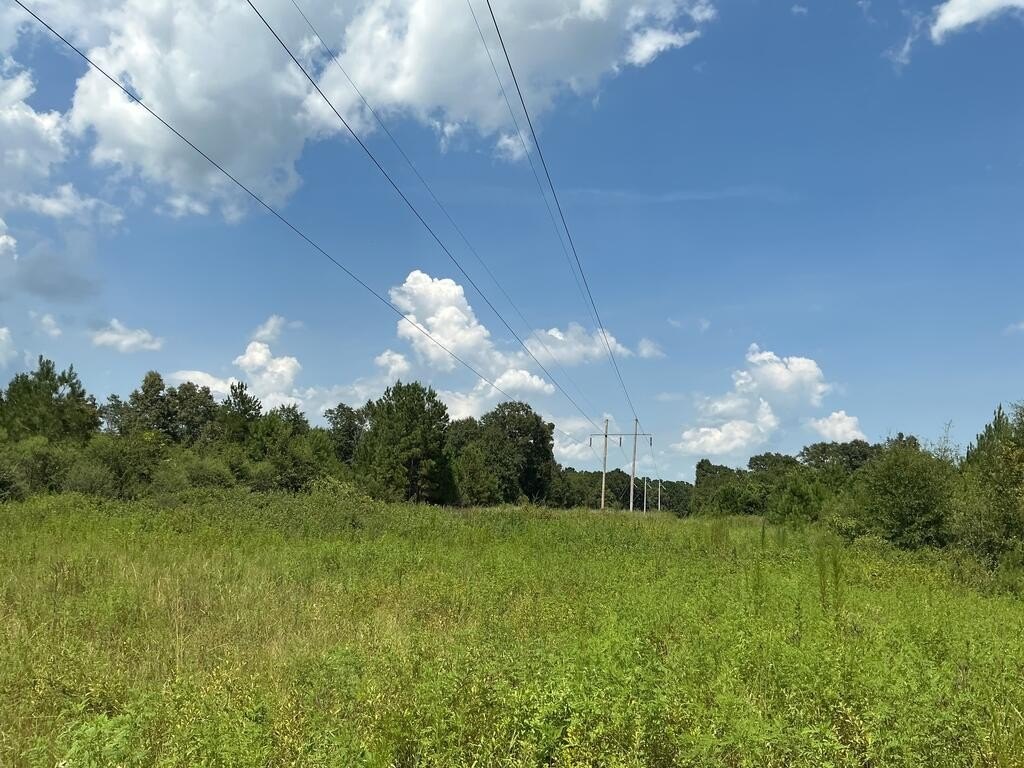 Picture 21