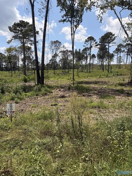 Land, Centre, AL