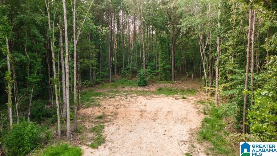 Picture 15