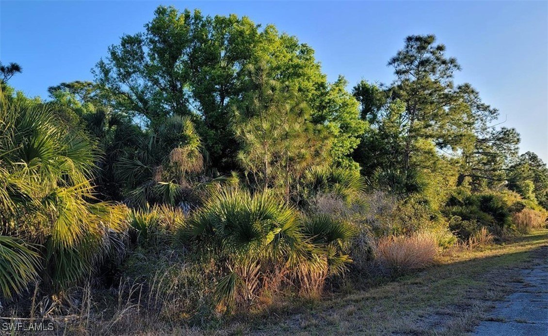 Oversized Corner Lot in North Port