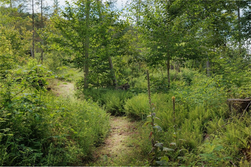 Picture 32