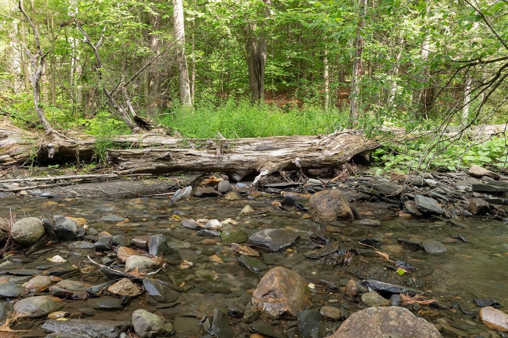 Picture 31