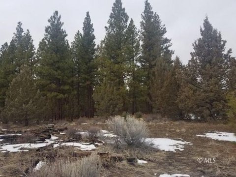 Davis Creek Land For Sale