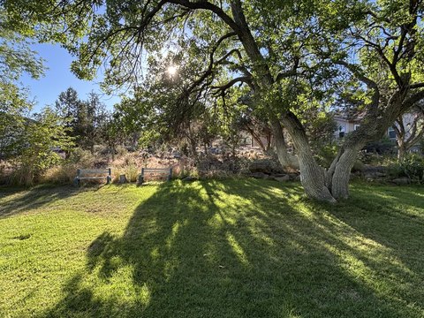 Waterfront Land with River Frontage
