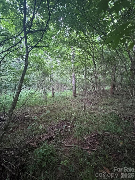 Picture 13