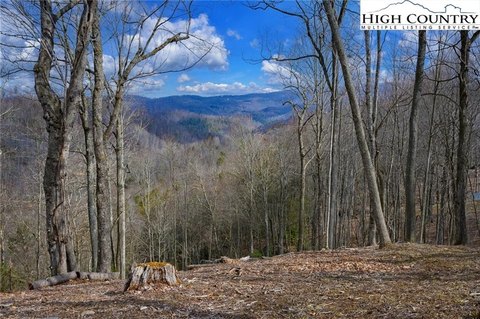 Elk Park Land with Views