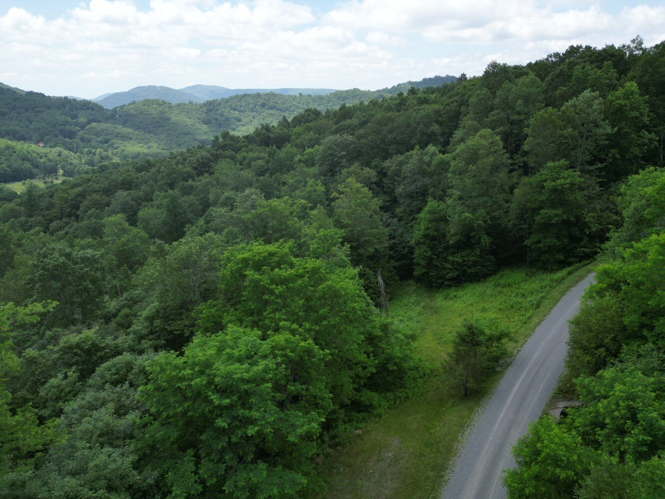 Land Near Snowshoe Mountain Resort