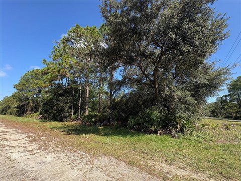 Land, INDIAN LAKE ESTATES, FL