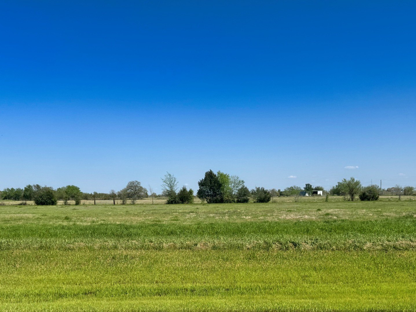 Land in Iola, Texas