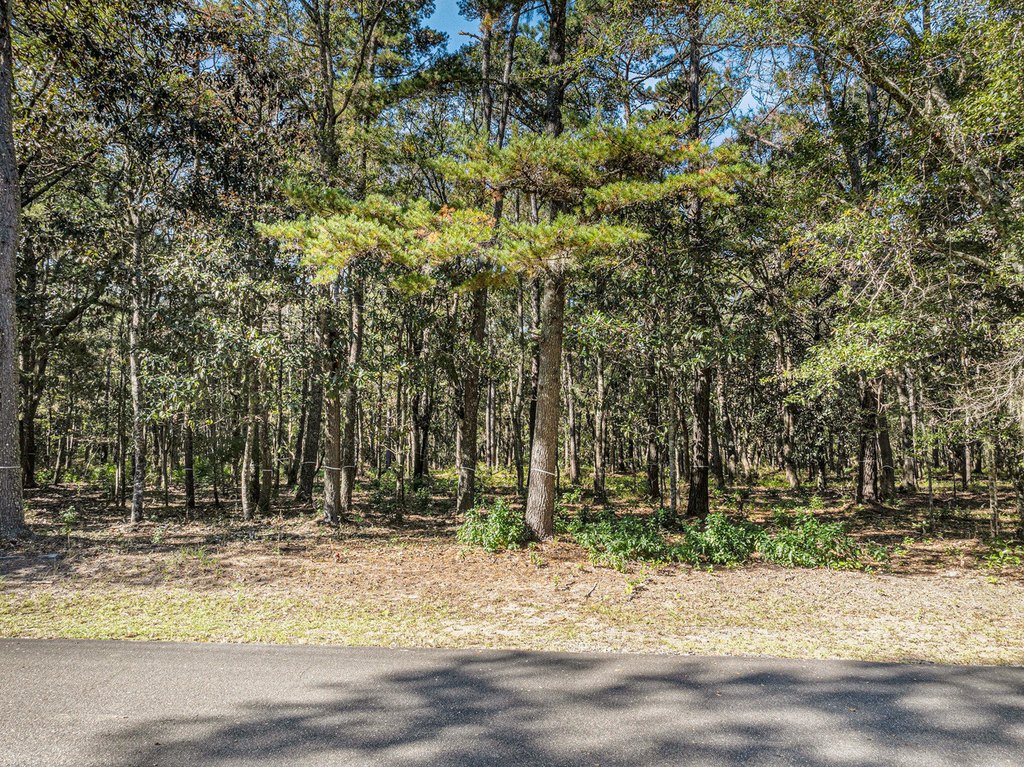 Picture 9