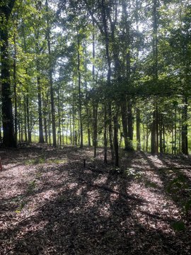 LAND - Georgetown, GA