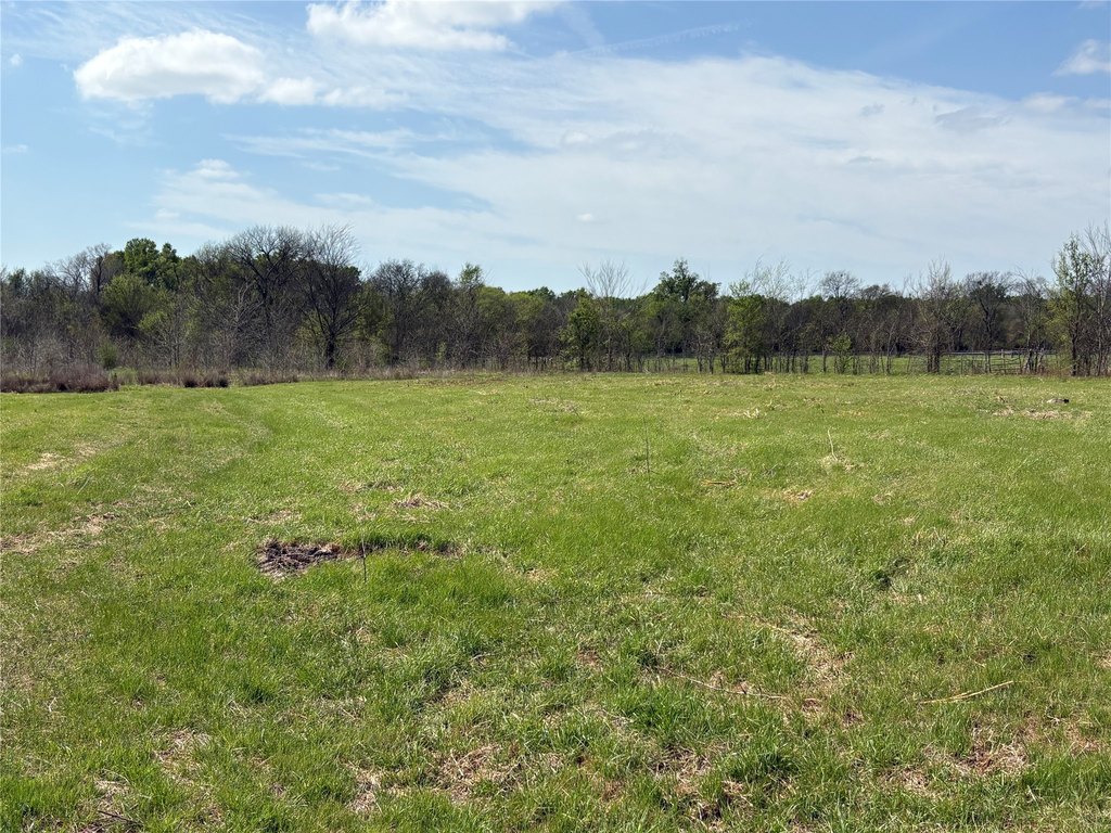 Picture 29