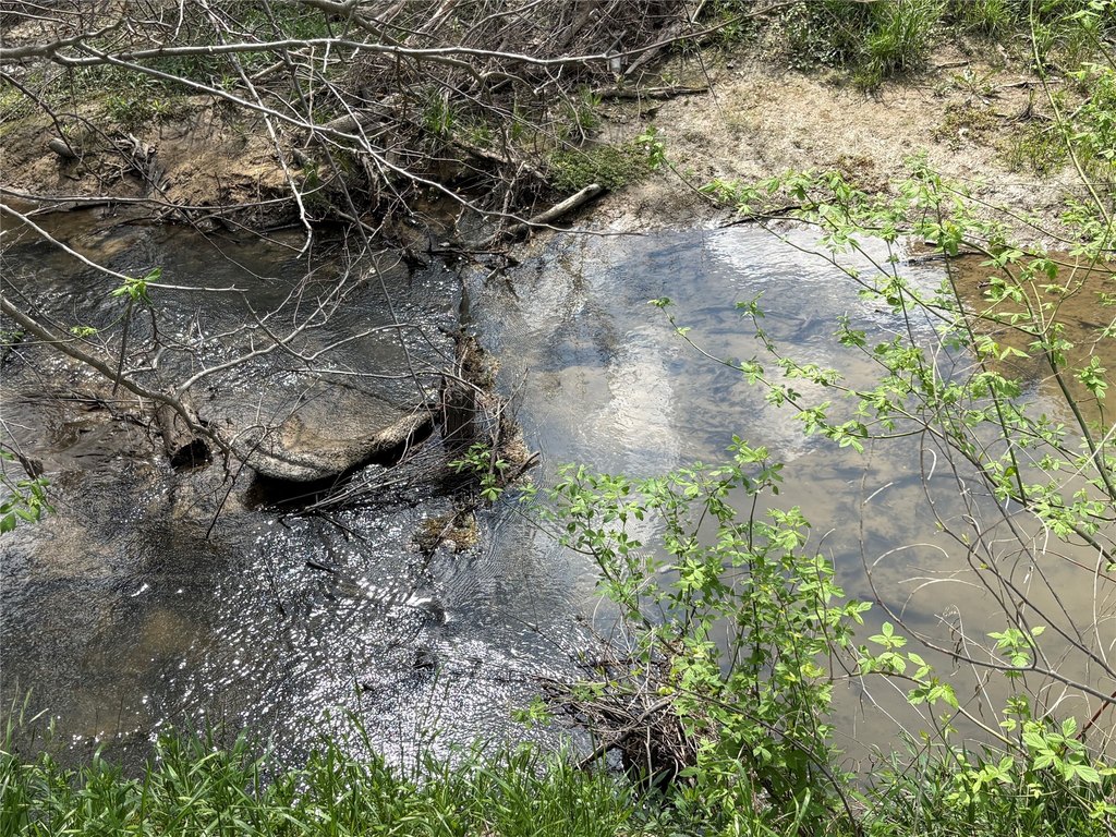 Picture 25