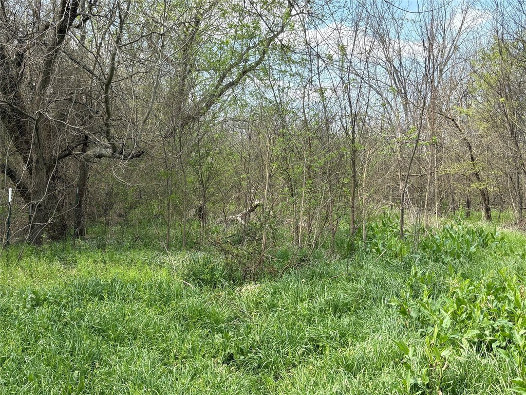 Picture 22