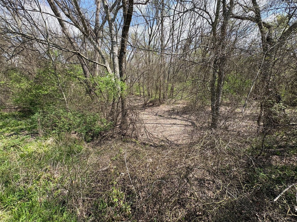 Picture 11