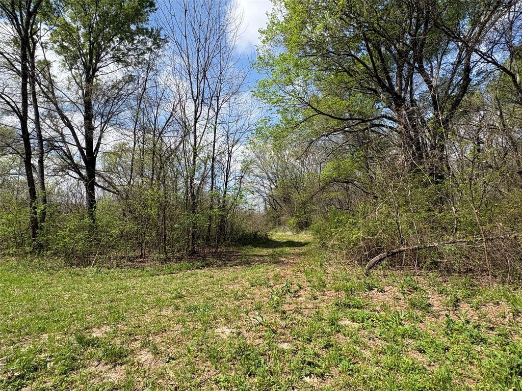 Picture 14