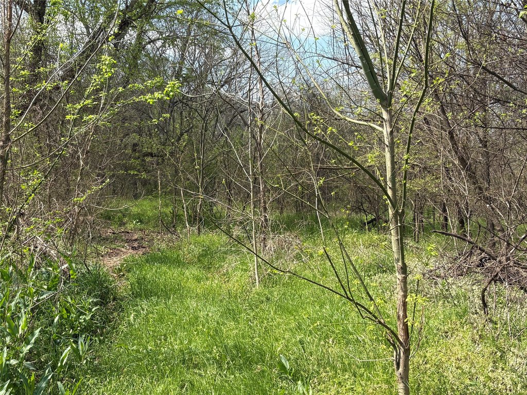 Picture 21