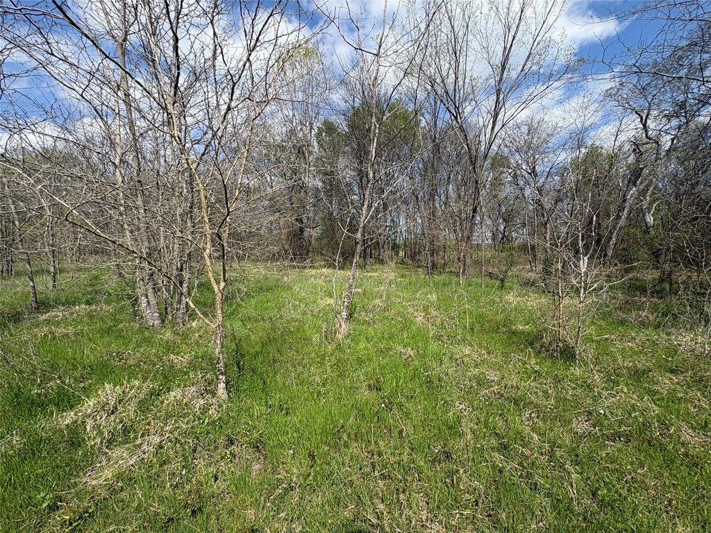 Picture 9
