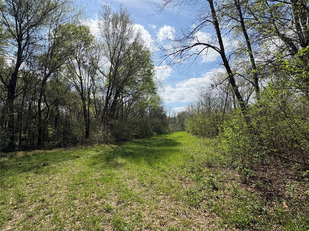 Picture 13