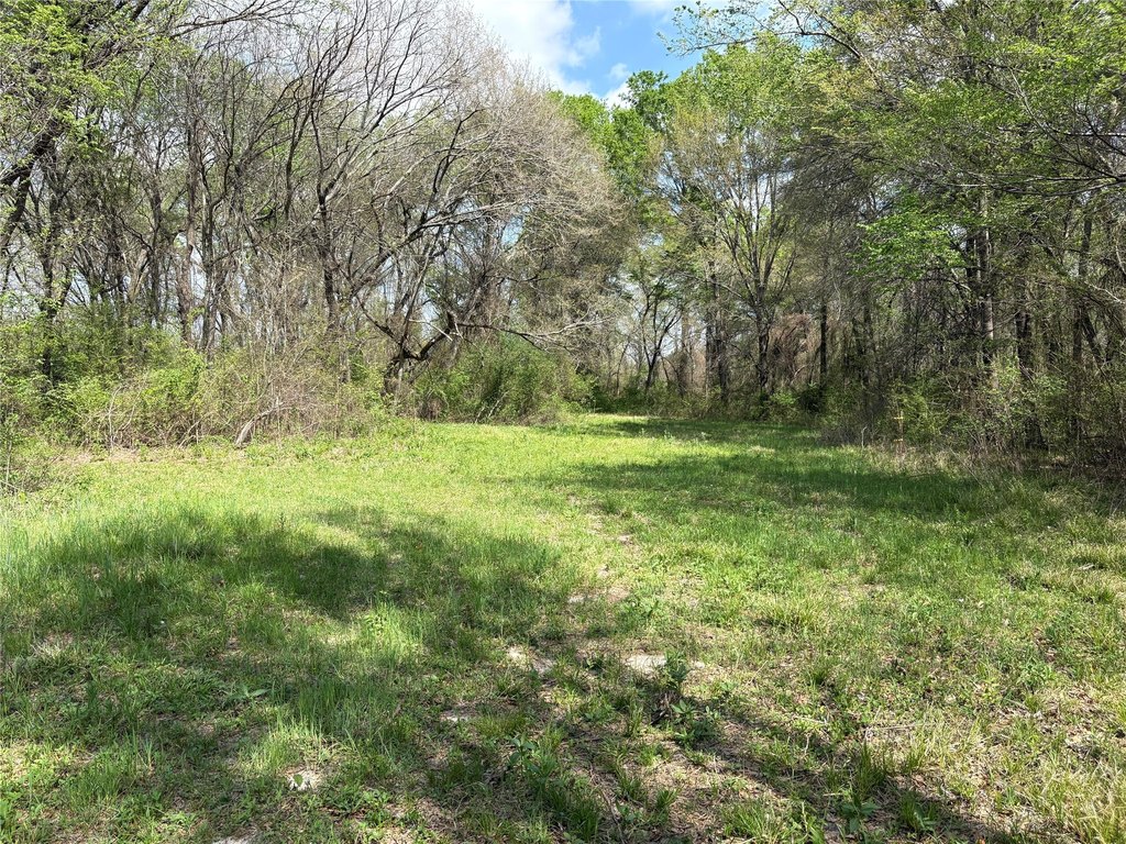 Picture 15