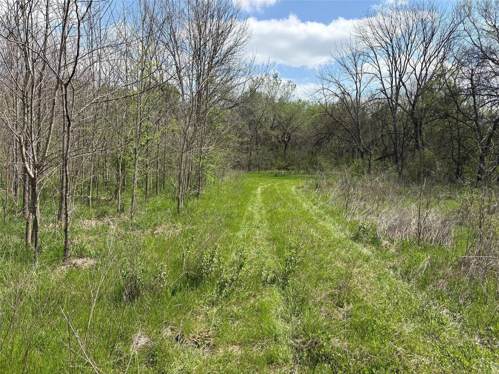 Picture 17