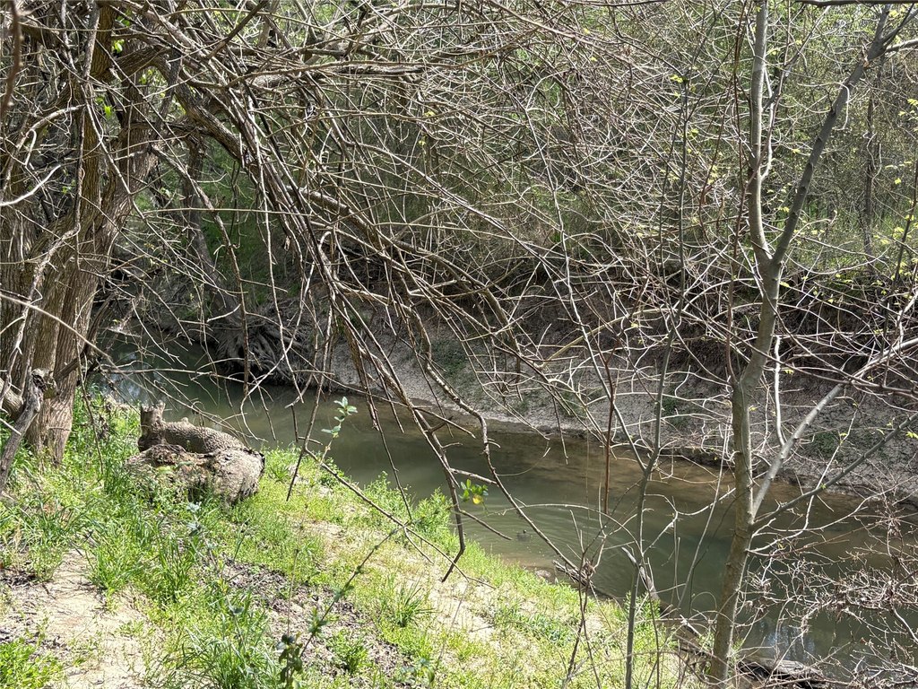 Picture 23