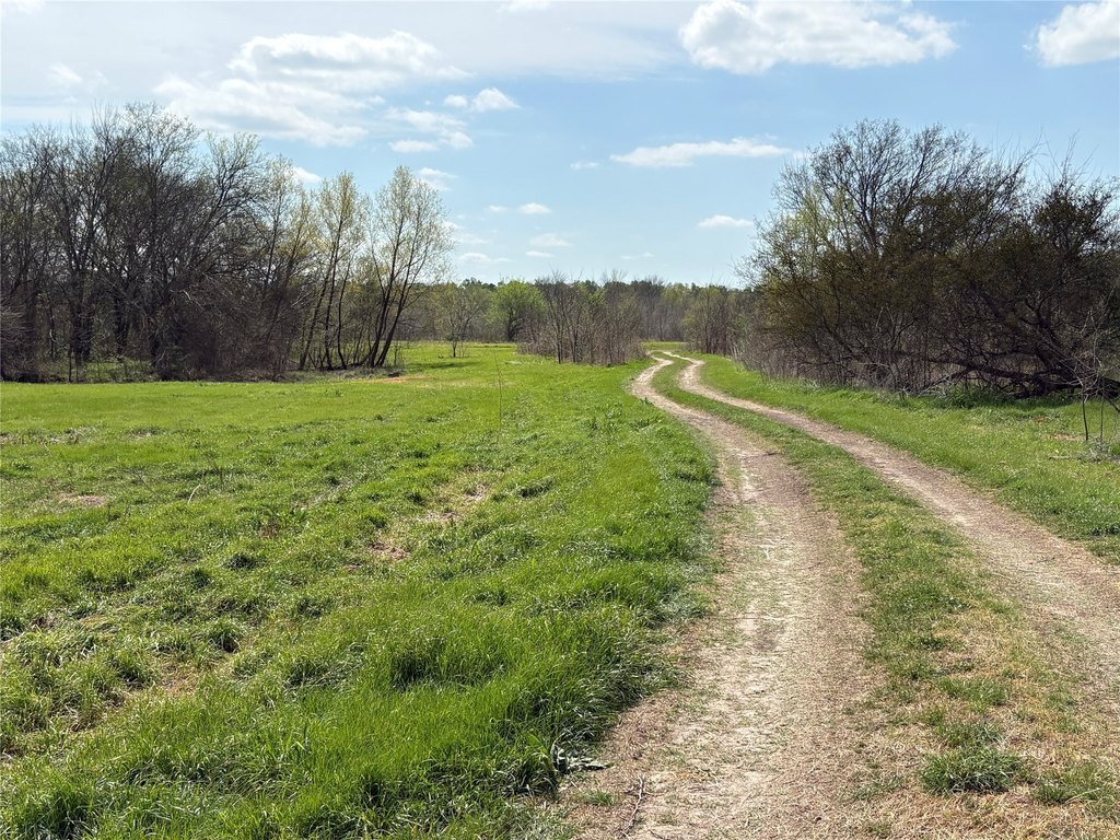Picture 30