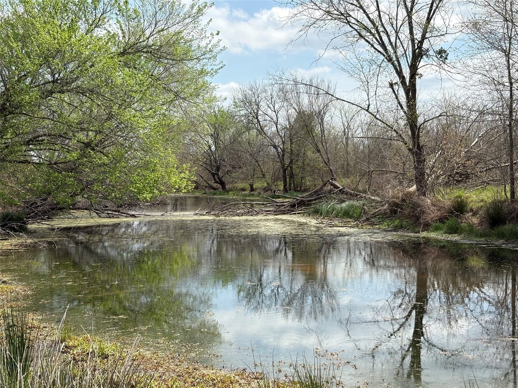Picture 3