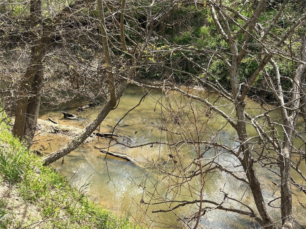 Picture 24