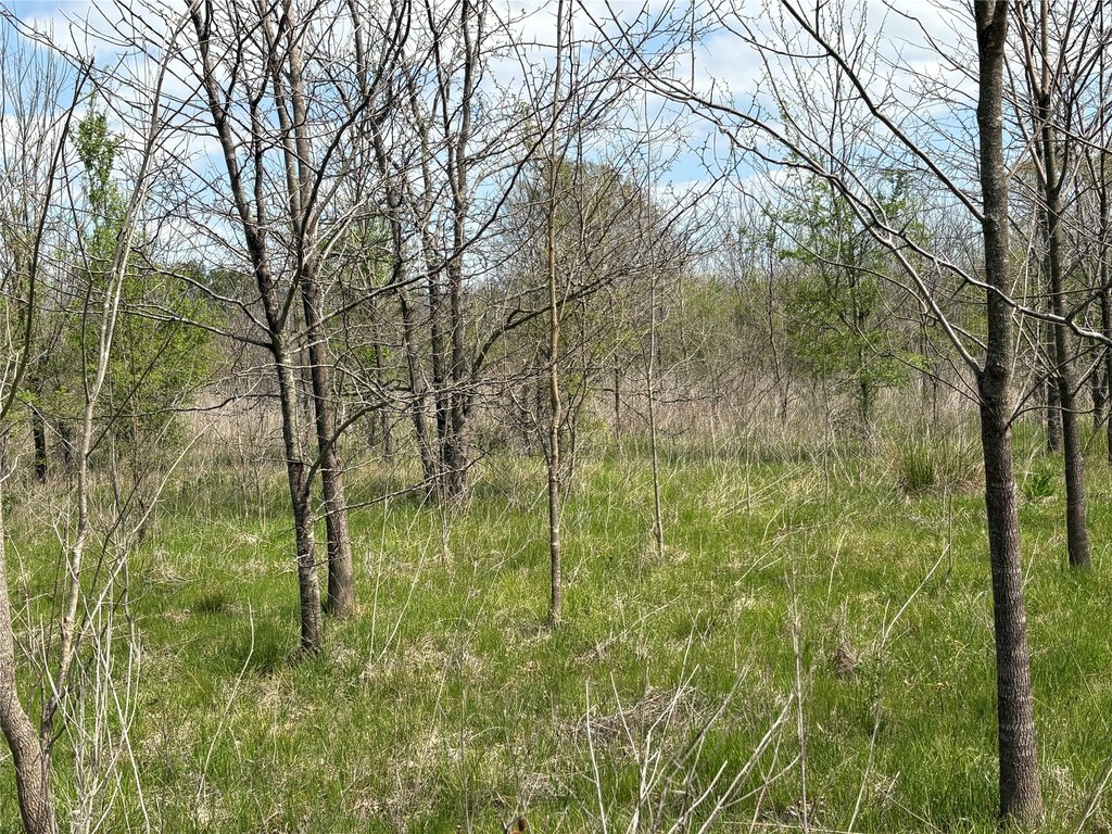 Picture 19