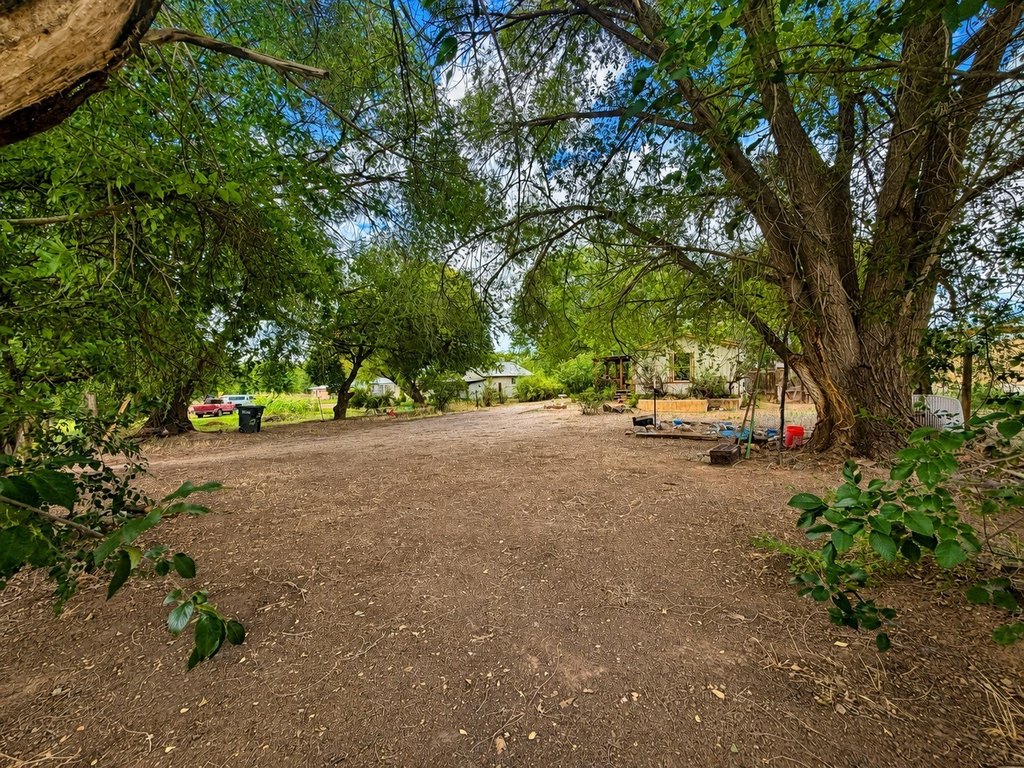 Picture 15