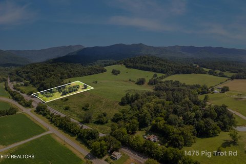 Newport, TN 6.5 Acre Land