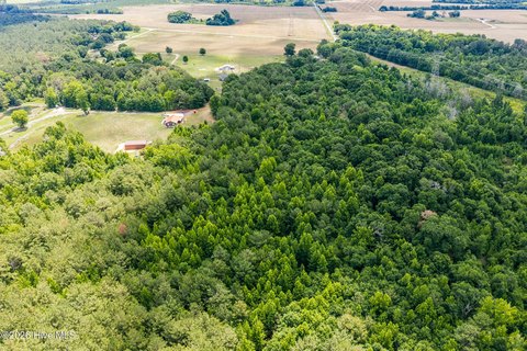 Land, Rockingham, NC