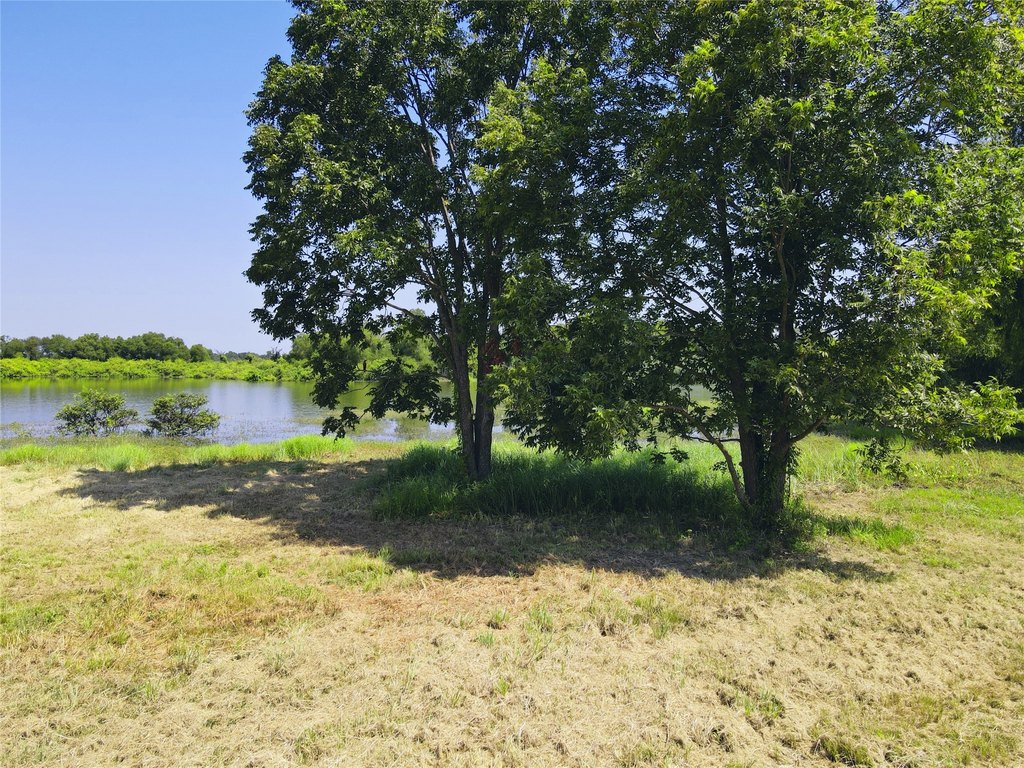 Picture 10